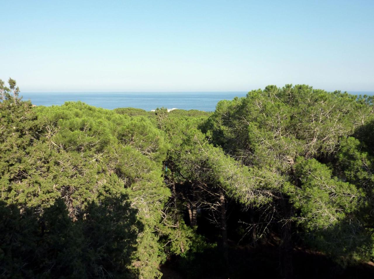 La Bouganville Apartments Cala Gonone Bagian luar foto
